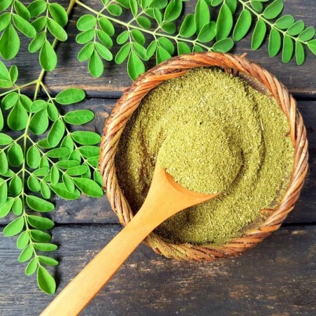 Moringa